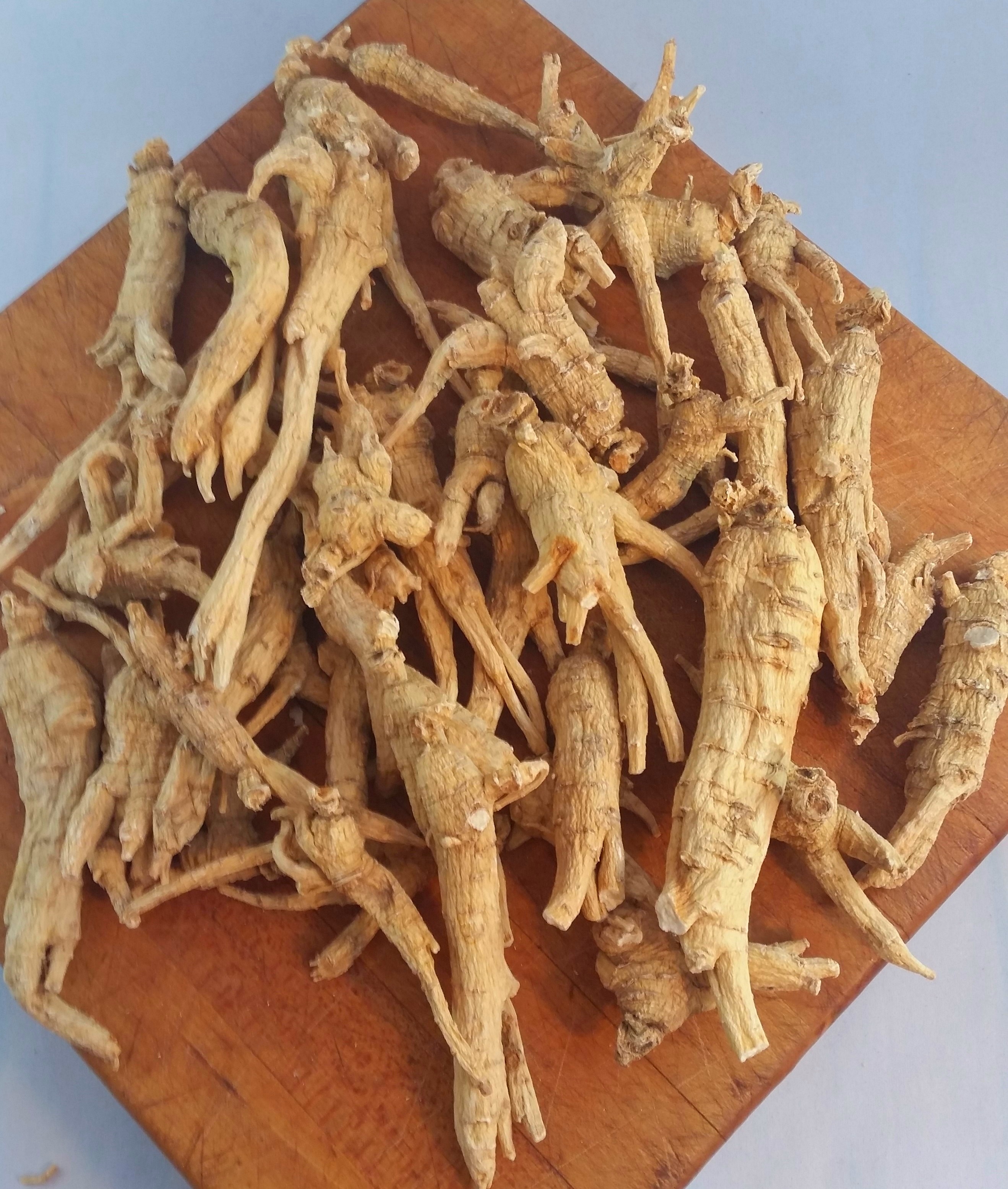 American Ginseng Roots 5 Years Old GinsengStoreandMore